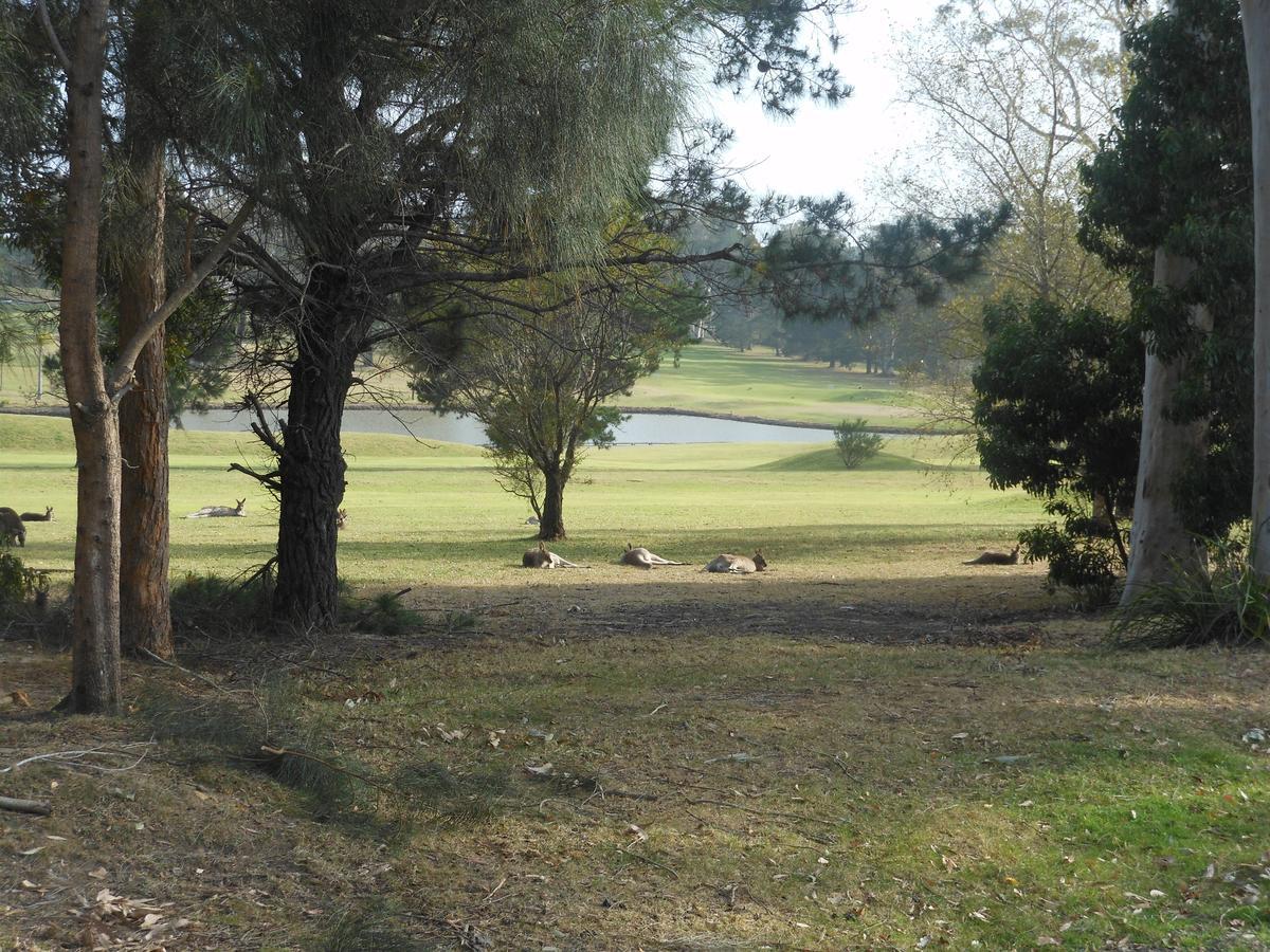Golf View Motel Sanctuary Point Eksteriør billede